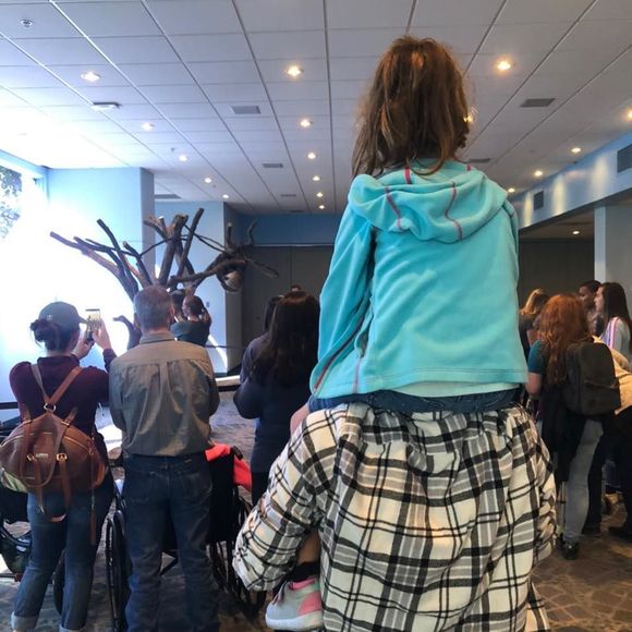 Meet your Posher, Nicholas - Picture 1 of 1